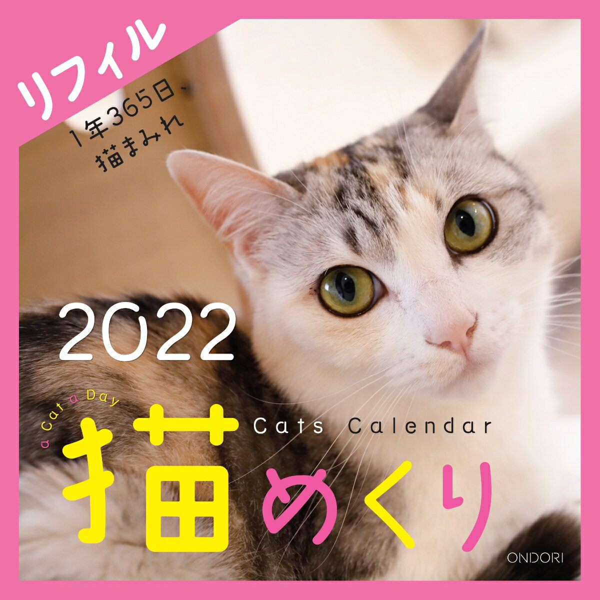 Cats Calendar 猫めくり リフィル2022