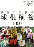 世界の原種系球根植物1000