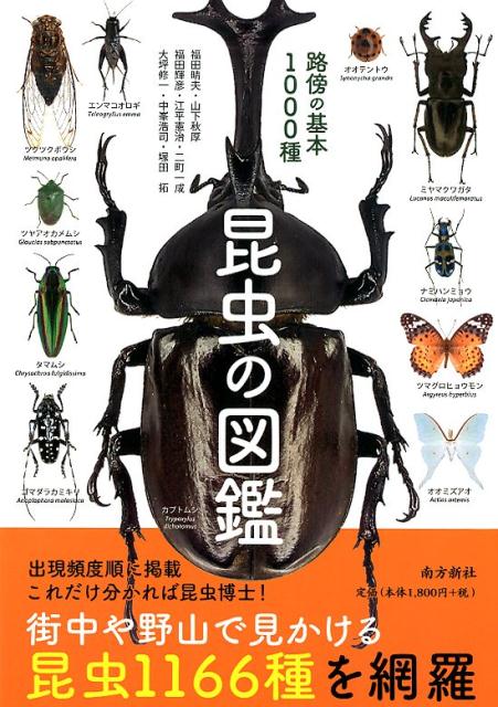 昆虫の図鑑 路傍の基本1000種 [ 福田