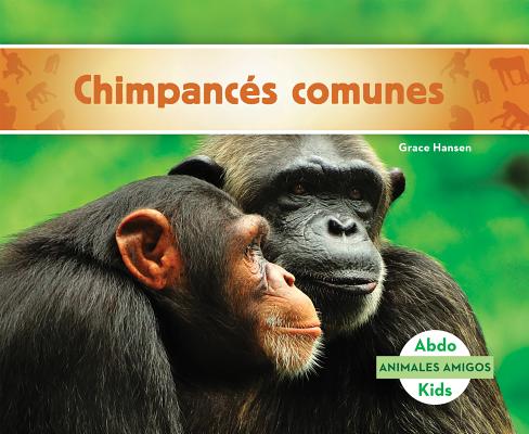 Chimpances Comunes (Chimpanzees) SPA-CHIMPANCES COMUNES (CHIMPA （Animales Amigos (Animal Friends)） 