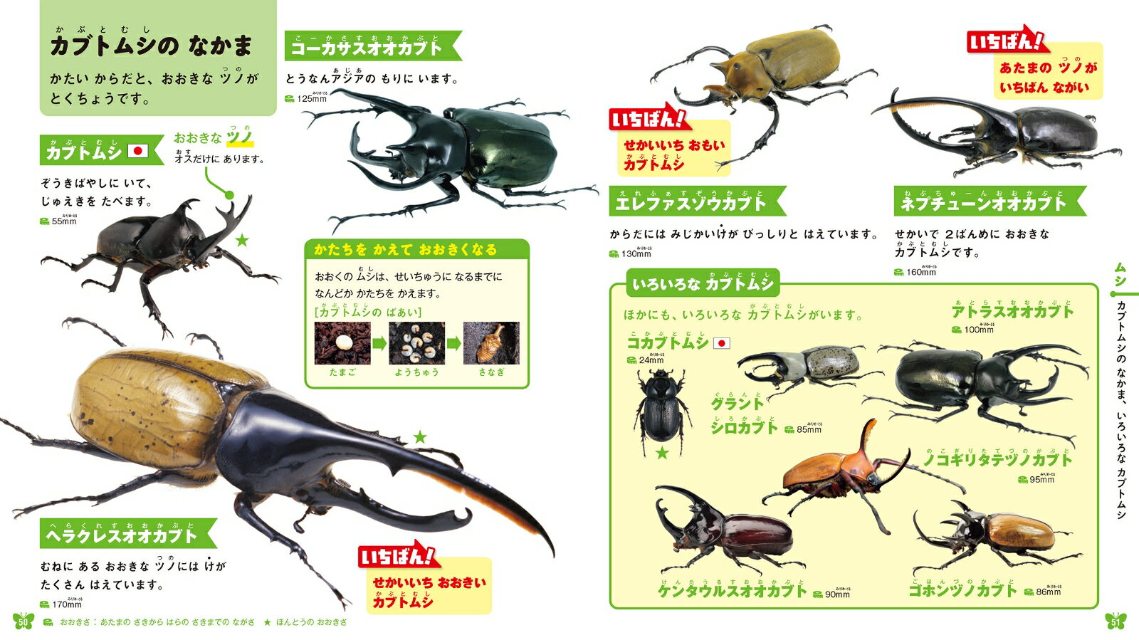 はじめてのずかん　いきもの [ 成島 悦雄 ] 2