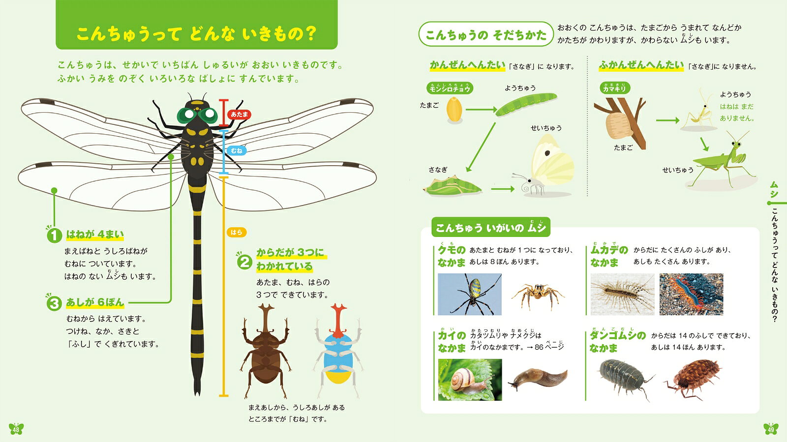 はじめてのずかん　いきもの [ 成島 悦雄 ] 3