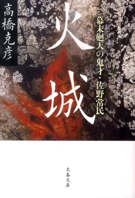 幕末廻天の鬼才・佐野常民 火城