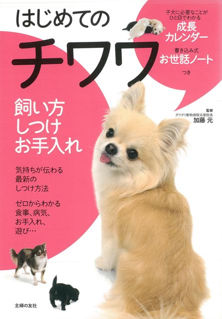 【バーゲン本】はじめてのチワワー飼い方しつけお手入れ