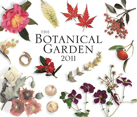 The Botanical Garden