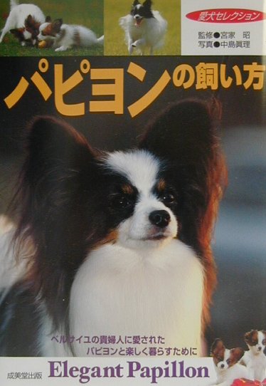 パピヨンの飼い方