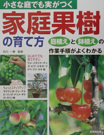 小さな庭でも実がつく家庭果樹の育て方