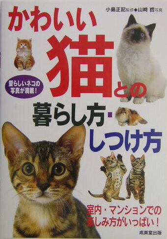 かわいい猫との暮らし方・しつけ方 愛らしいネコの写真が満載！ [ 山崎哲（写真家） ]のサムネイル