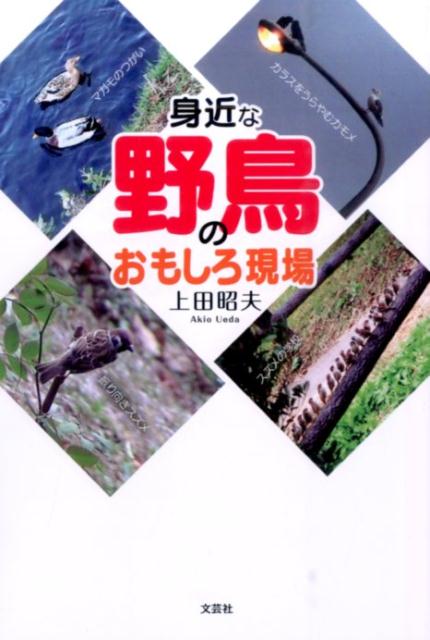 身近な野鳥のおもしろ現場