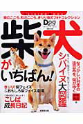 柴犬がいちばん！