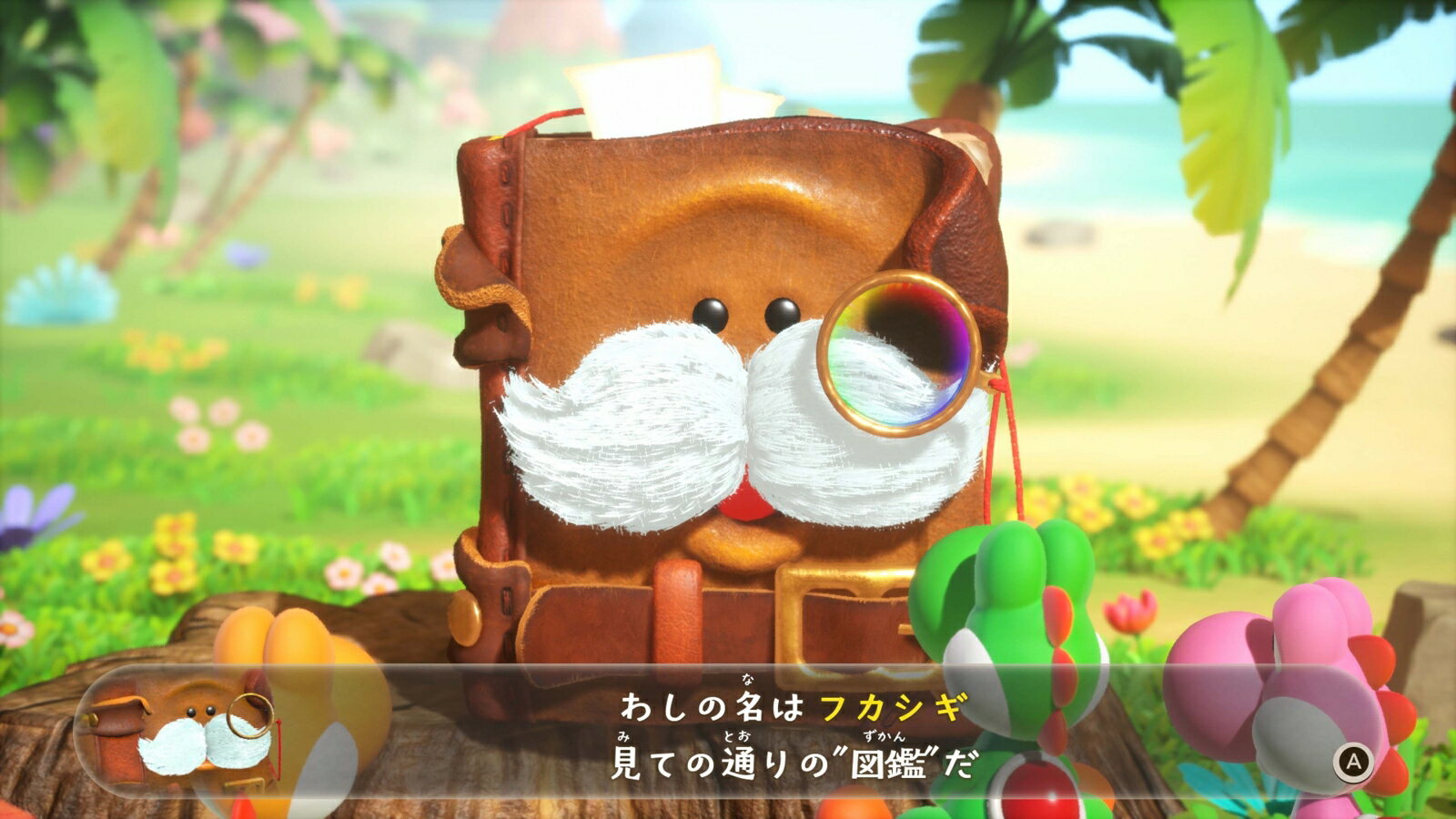 ヨッシーとフカシギの図鑑（2枚目）