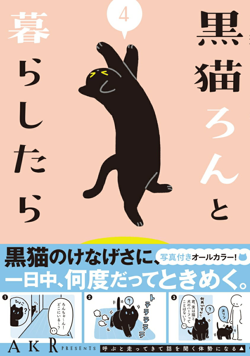 黒猫ろんと暮らしたら4