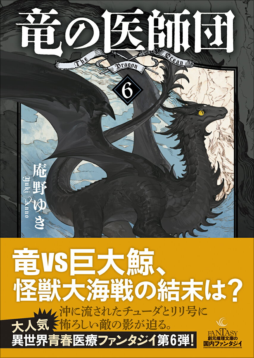 沖に流された仔竜チューダをリョウ、レオ、リリは飛空船〈リリ号〉に乗って空から捜索する。なんとかチューダを見つけたものの、怖ろしい敵の影が仔竜に迫っていた。危うしチューダ！　一方、ガナラージャで出会った竜ノ医師を目指す少年の存在が、封印されていたリョウの凄絶な過去の記憶を解き放とうとしていた……。南大国ガナラージャ編後編。竜の医師を目指す少年たちの奮闘を描く、大人気の異世界青春医療ファンタジイ第6弾。