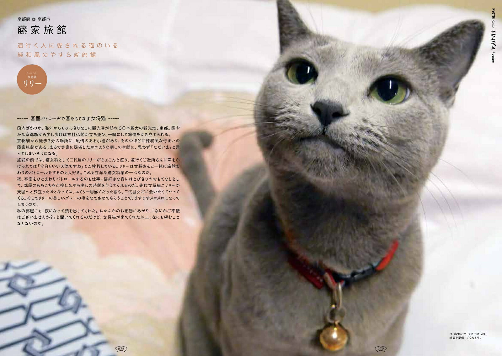 日本の猫宿 [ 小林希 ]の紹介画像3