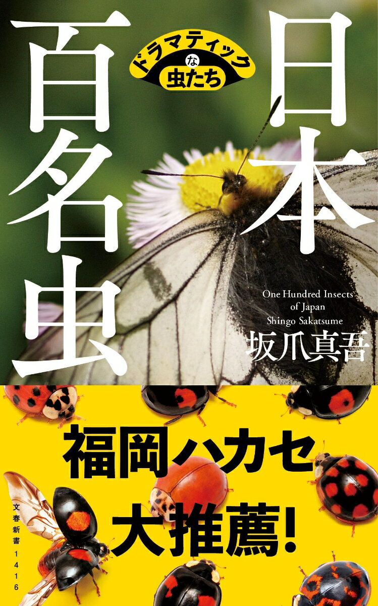 日本百名虫 ドラマティックな虫たち