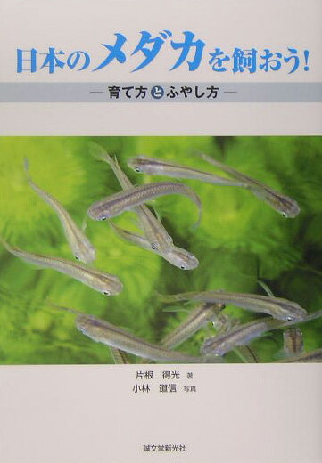 日本のメダカを飼おう！ 育て方とふやし方 [ 片根得光 ]