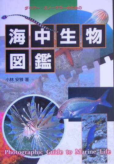 海中生物図鑑