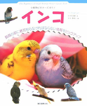 インコ 小動物ビギナーズガイド （Small　animal　pocket　book　serie） [ すずき莉萌 ]