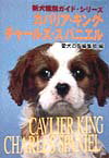 カバリア・キング・チャ-ルズ・スパニエル