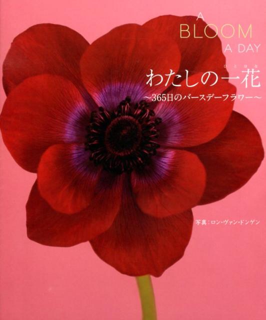 わたしの一花
