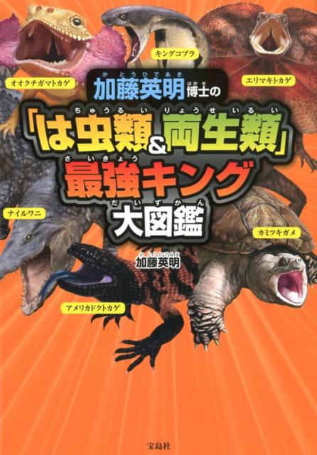 加藤英明博士の「は虫類＆両性類」最強キング大図鑑