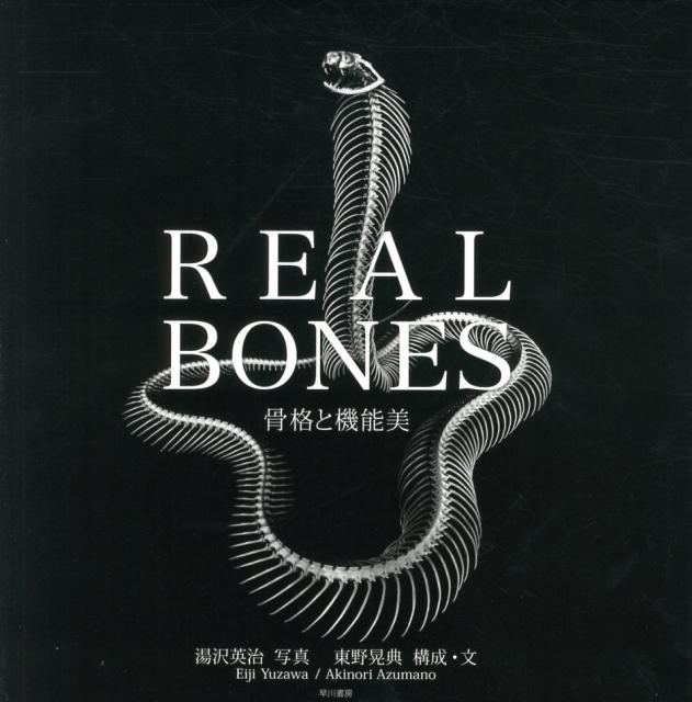 REAL　BONES　骨格と機能美 [ 湯沢　英治 ]