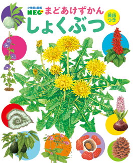 しょくぶつの表紙