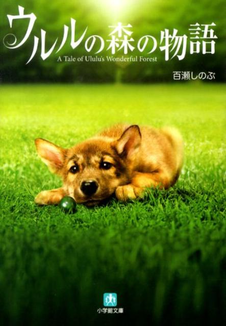 ウルルの森の物語 第1巻 表紙