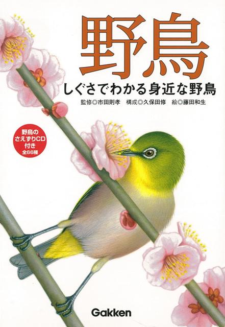 【バーゲン本】野鳥ーしぐさでわかる身近な野鳥　野鳥のさえずりCD付き