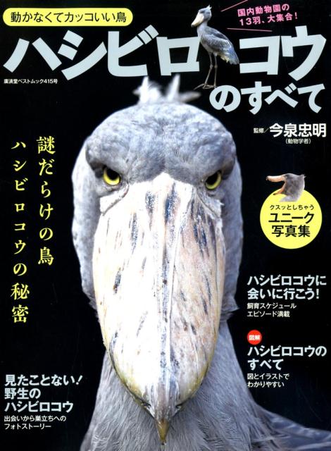 ハシビロコウのすべて [ 今泉忠明 ]のサムネイル