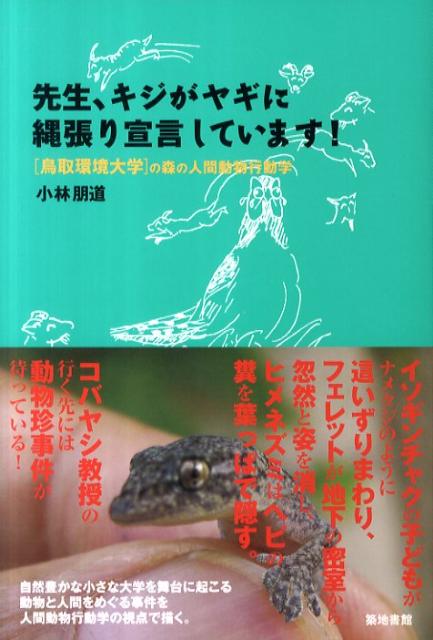 先生、キジがヤギに縄張り宣言しています！