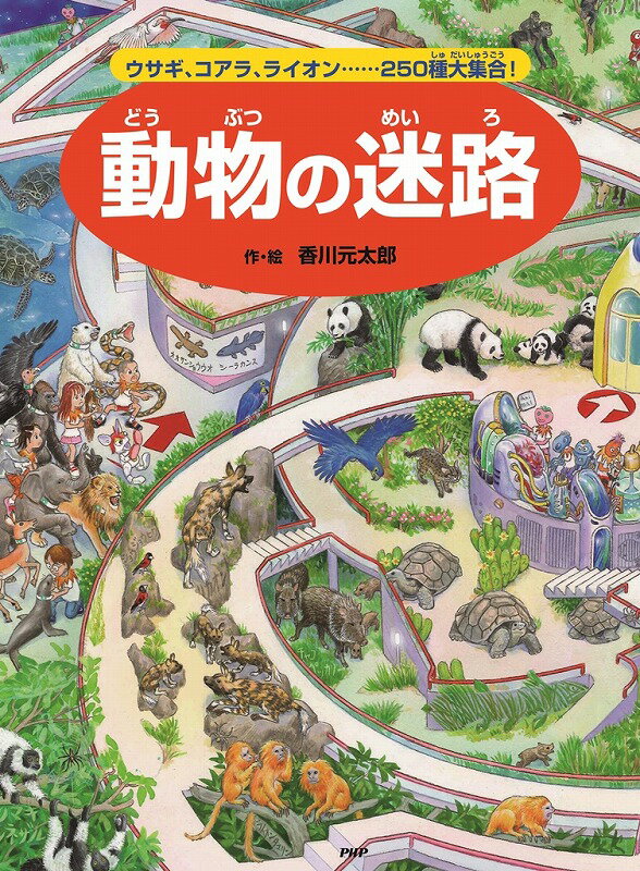 動物の迷路 （迷路絵本シリーズ） [ 香川元太郎 ]