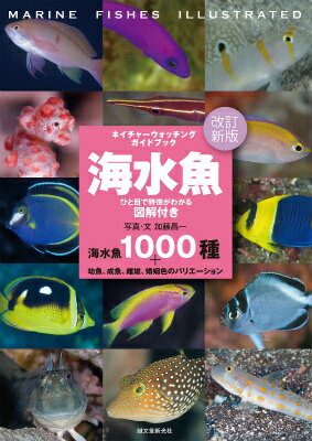 改訂新版 海水魚 ひと目で特徴がわかる図解付き 1000種＋幼魚、成魚、雌雄、婚姻色のバリエーション （ネイチャーウォッチングガイドブック） [ 加藤 昌一 ]