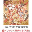 【楽天ブックス限定先着特典】どうしたってカーニバル！【Blu-ray付生産限定盤】(B2スエード布ポスター) ハロー ハッピーワールド！