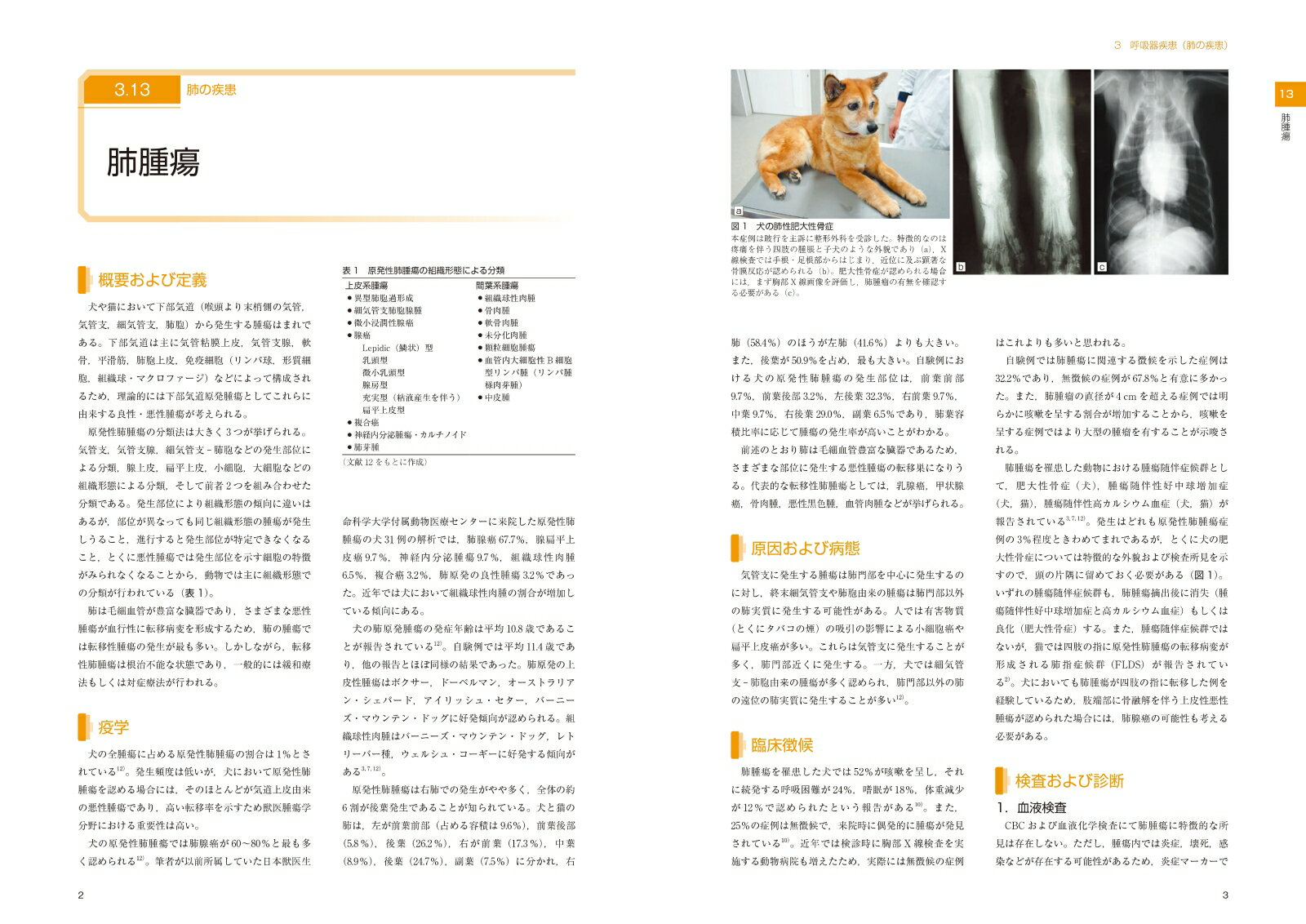 犬の内科診療 Part 1 [ 石田卓夫 ] 2