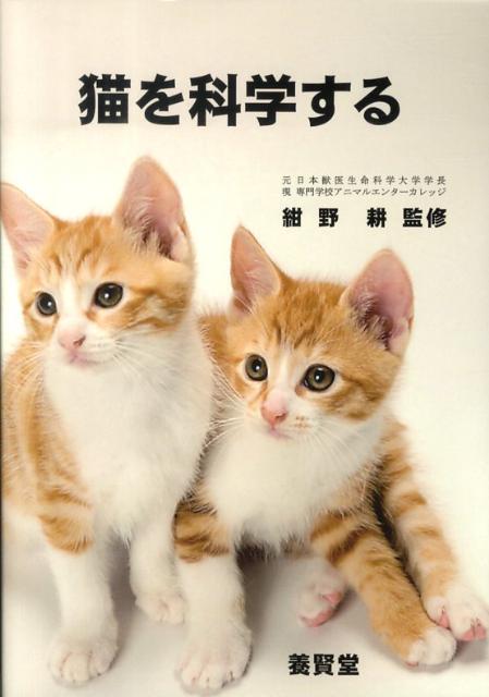 モノづくりにおけるシステム設計最適化 [ 吉村允孝 ]