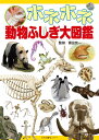 富田京一 日本図書センターホネホネドウブツフシギダイズカン トミタキョウイチ 発行年月：2018年09月30日 予約締切日：2018年09月26日 ページ数：164p サイズ：図鑑 ISBN：9784284204217 『ホネからわかる！動物ふしぎ大図鑑』再構成・改題書 富田京一（トミタキョウイチ） 1966年福島県生まれ。肉食爬虫類研究所代表（本データはこの書籍が刊行された当時に掲載されていたものです） 第1章　日本の動物たち（草原をはねるように走る動物なあに！？ーウサギ（ニホンノウサギ）／暗闇を自在に飛ぶ動物何だ！？ーコウモリ（アブラコウモリ）／枝分かれした大きな角の動物は何！？ーシカ（ニホンジカ）　ほか）／第2章　世界の動物たち（森にすむやさしい力もちはだれだ！？ーゴリラ（ニシゴリラ）／タケが大好きな白黒模様の動物は！？ージャイアントパンダ／草原にすむ首の長い動物はなあに！？ーキリン（マサイキリン）　ほか）／第3章　海の動物たち（陸でも水中でもすばやく動く動物は！？ーアシカ（カリフォルニアアシカ）／大きくて魚みたいなほ乳類は何だ！？ークジラ（シロナガスクジラ）／あおむけで海面に浮かぶ動物だれだ！？ーラッコ　ほか） ほ乳類から両生類、魚類までさまざまな脊椎動物を取り上げ、骨の特色からその名前を当てる「Q＆A」の構成。「Qページ」である動物の骨の特徴をさまざまな角度から紹介し、そのもち主の動物は何かを問いかけ、「Aページ」でその答えである動物を示し、その生態や体のつくり、類似・関連した動物などを紹介。特集ページを設け、骨の形や機能から見た動物の体のつくりや生態を、テーマごとにわかりやすく解説している。 本 絵本・児童書・図鑑 図鑑・ちしき