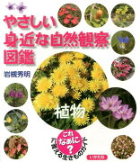 やさしい身近な自然観察図鑑（植物）