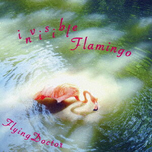 invisibleFlamingo