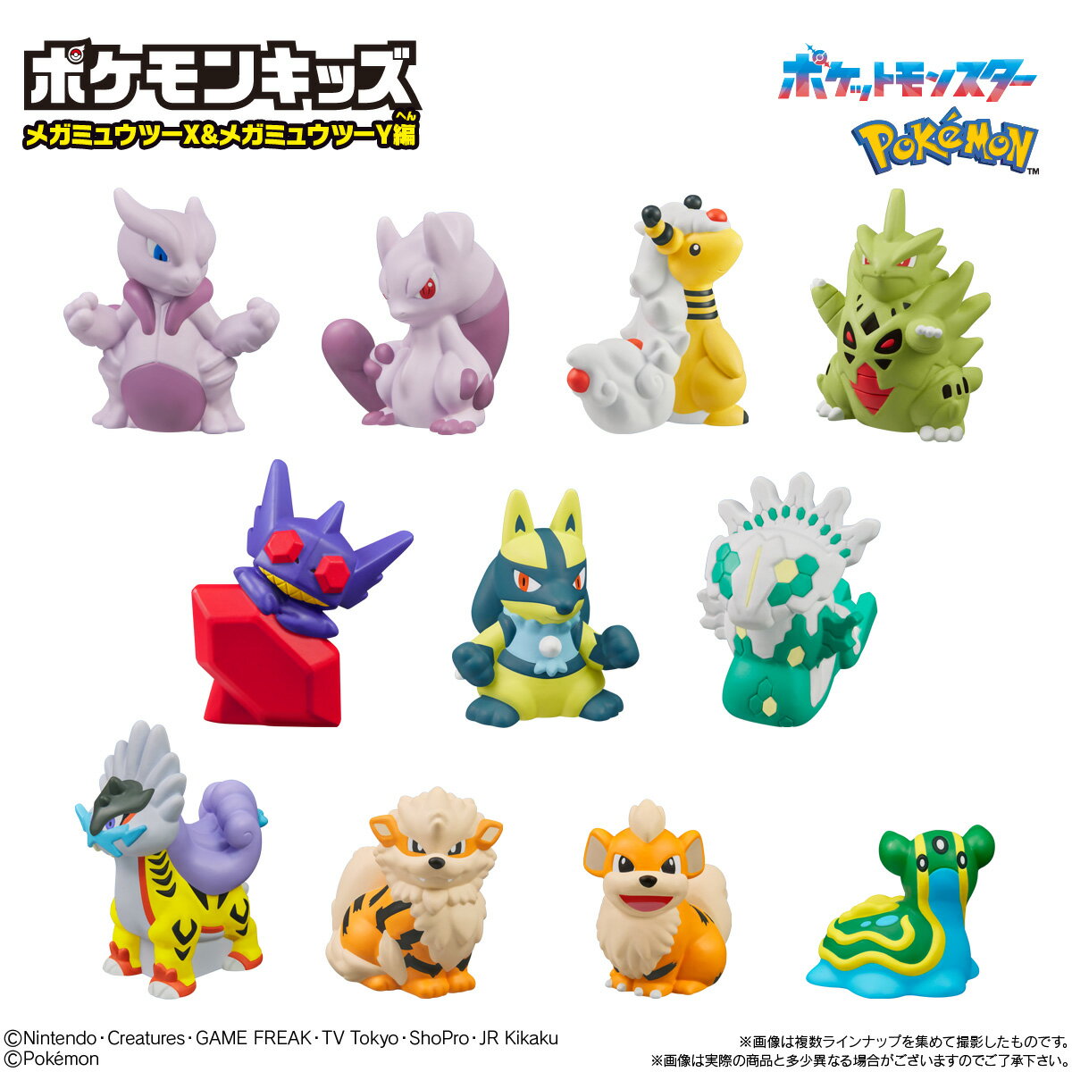 ポケモンキッズ メガミュウツーX&メガミュウツーY編 (BOX) (食玩)