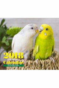 【特価販売】2018年ミニカレンダー インコ