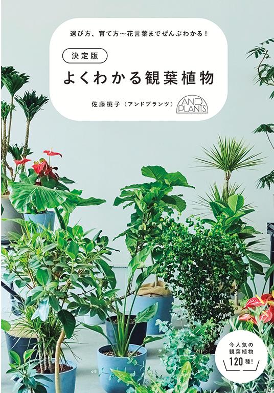 決定版 よくわかる観葉植物 [ 佐藤桃子 ]