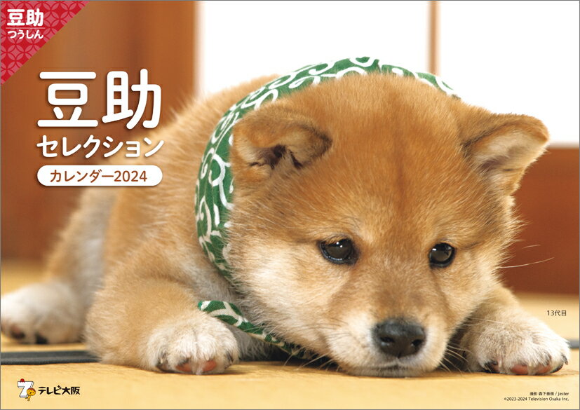 歴代豆助セレクション（2024年1月始まりカレンダー）