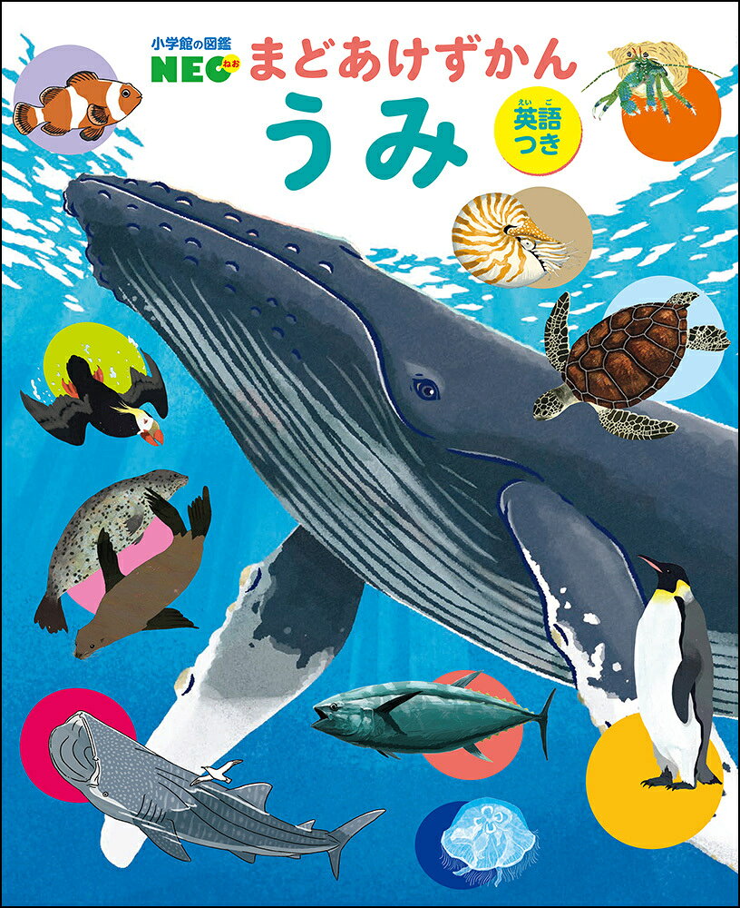 製品画像：21位
