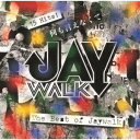 何も言えなくて…～THE BEST OF JAYWALK～ [ JAYWALK ]