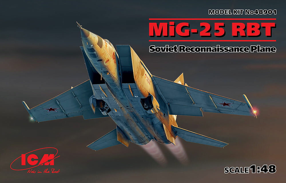 1/48 ミグ MiG-25 RBT 【48901】 (プラモデル)