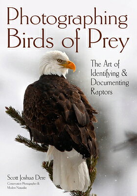 Photographing Birds of Prey: The Art of Identifying & Documenting Raptors PHOTOGRAPHING BIRDS OF PREY 