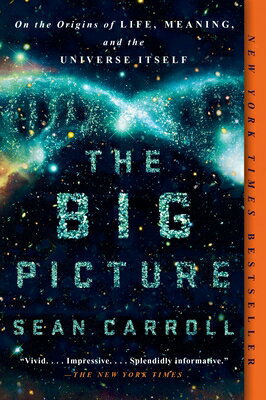 The Big Picture: On the Origins of Life, Meaning, and the Universe Itself BIG PICT 