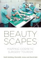 Beautyscapes: Mapping Cosmetic Surgery Tourism BEAUTYSCAPES [ Ruth Holliday ]