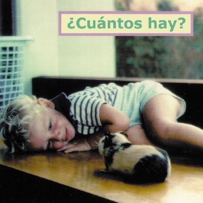 Cuantos Hay? = How Many? SPA-CUANTOS HAY -BOARD （Photoflaps） 
